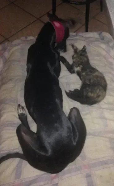 10868154 775562562527601 3351168688627406193 n