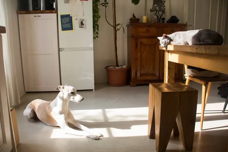 10868161 766744416742749 4608119268767867409 n