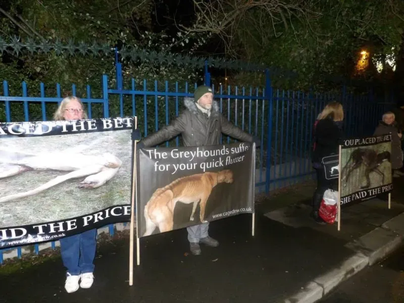 10868191 904662319578581 3619110838553374152 n