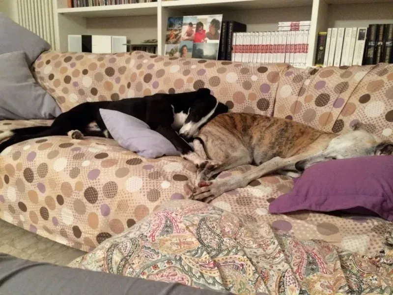 10869479 618048894988190 6118299295738693529 o