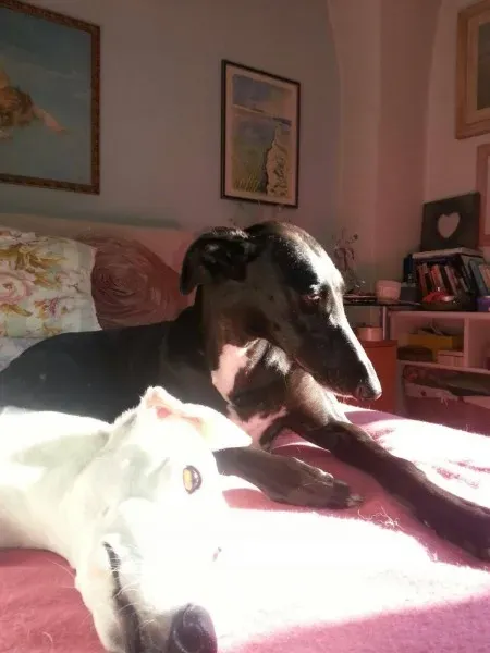 10872739 10205146208408612 9165868358065153411 o1