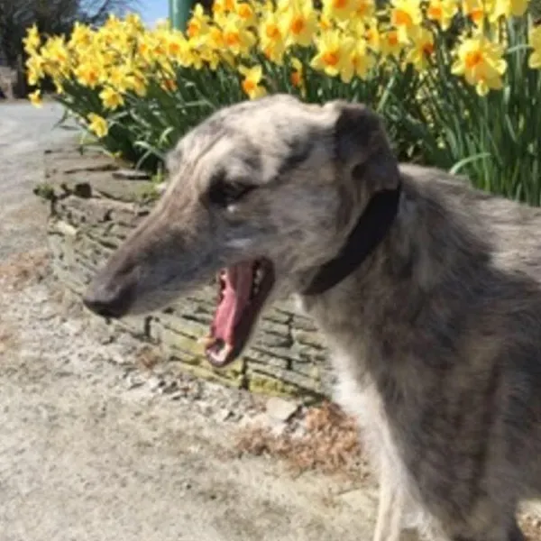 10885496 814751281942062 1580386178948456085 n