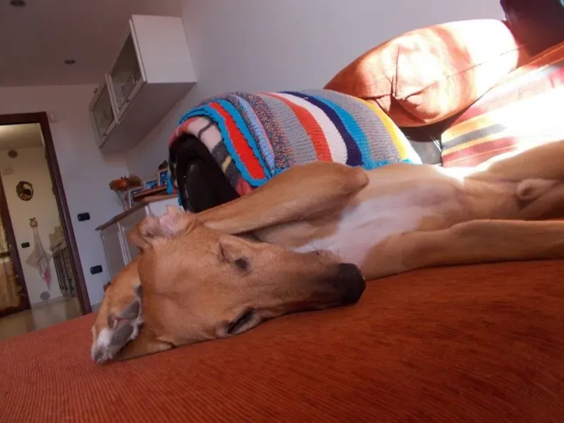 10887399 10202357440537607 1127802301879167726 o