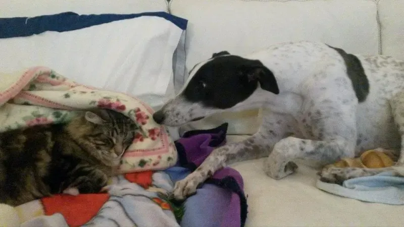 10888740 757590867658104 4400476037799666818 n