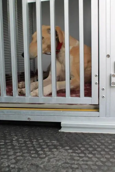 10888830 1014949841856048 6842404451974931491 n