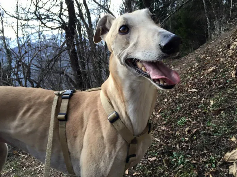 10891920 403598706463515 5016076935456576119 n