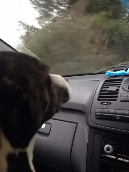 10893861 10152458889970194 358142641 n