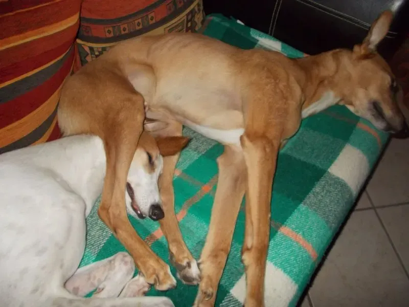 10896276 10202439069578282 2407960532921846291 o