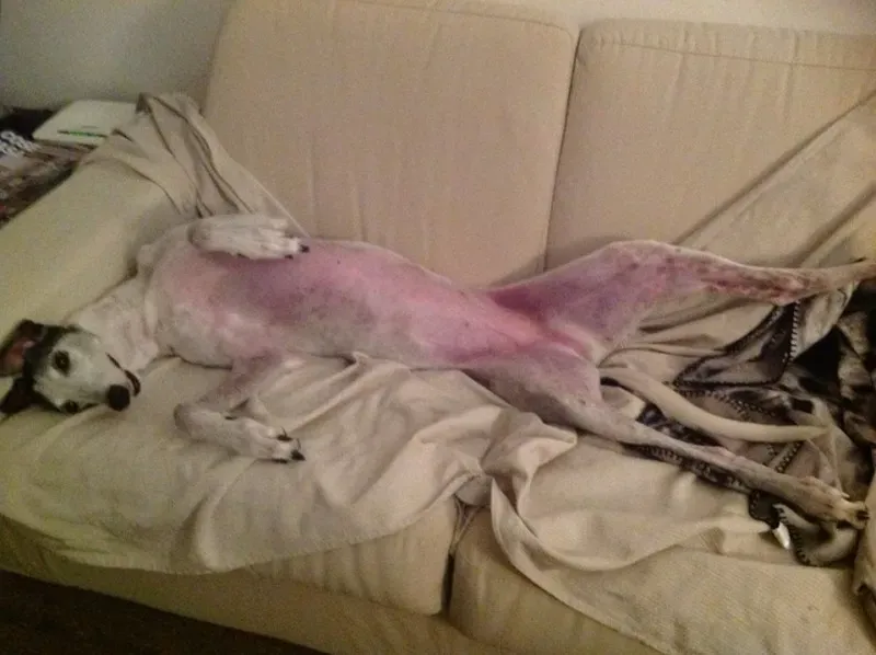 10897028 10204801156581580 3897916865801399052 n