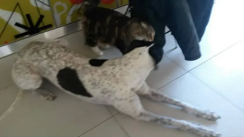 10897750 757590880991436 8171785811235918249 n