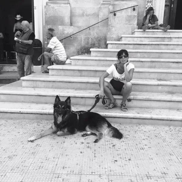 10897817 432274163640041 5882077386354257055 n