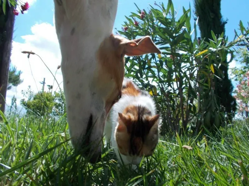 10897994 757591967657994 5907422808508591996 n 1