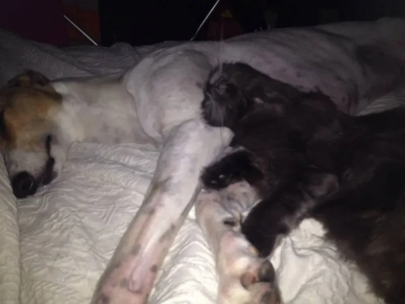 10898095 757591910991333 5637518759219487417 n