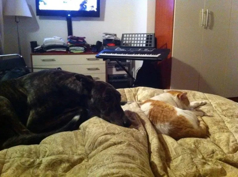 10898146 757591467658044 2310449663925941474 n