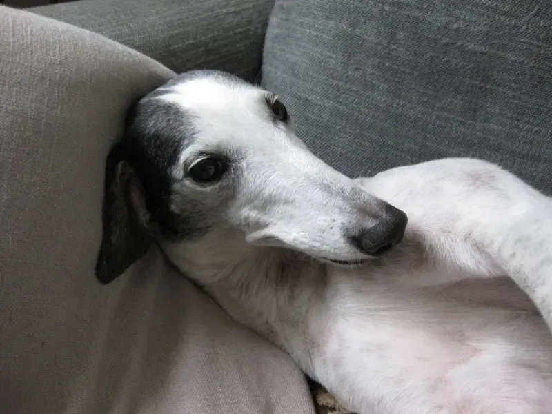 10900241 10205201217263025 1447966219743982331 o