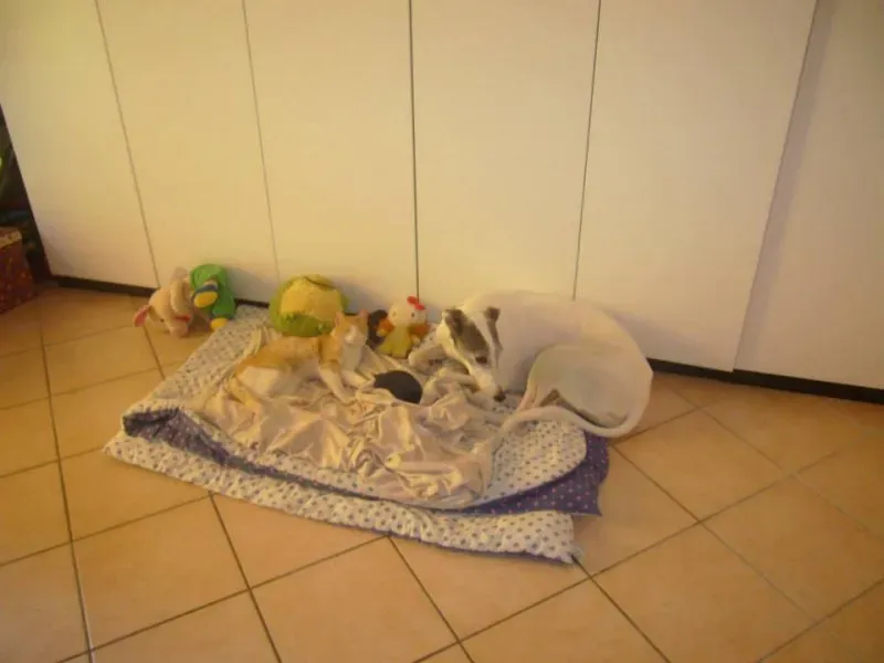 10906216 757591314324726 3664813578231037626 n