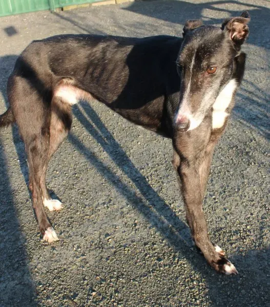 10906764 10152460204765194 1575688876 o