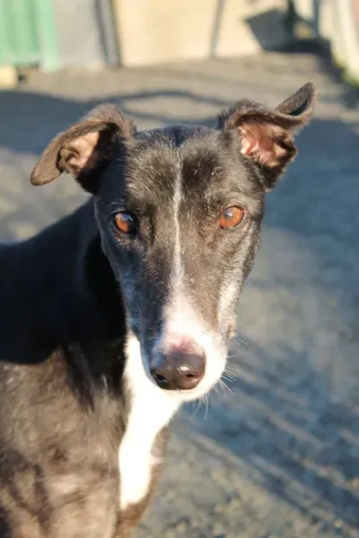 10906791 10152460203285194 1111743291 o