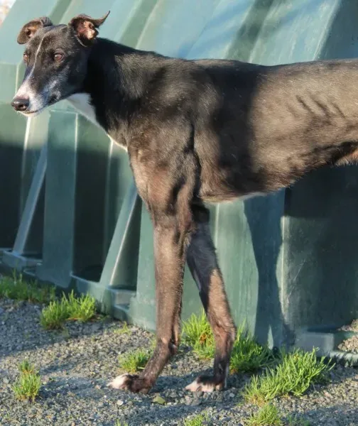 10906827 10152460213120194 897711008 o