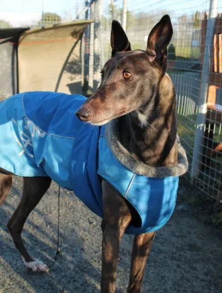 10906977 10152460210475194 1307398550 o