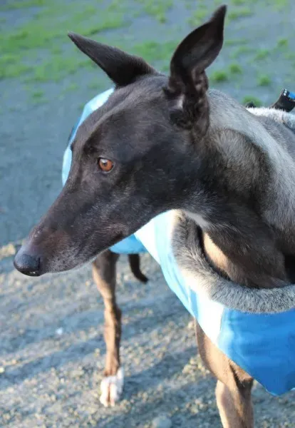 10907029 10152460209840194 1054363361 o