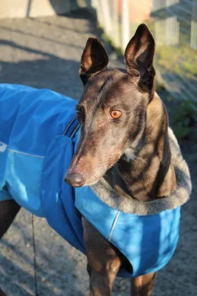 10907178 10152460209460194 860092654 o