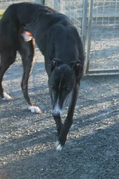 10909301 10152460204485194 2050339668 o