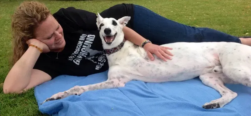 10911315 1593292494237626 5487345287136898264 o1