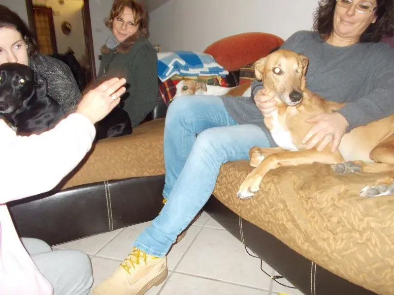 10911331 10202409490278818 2908702648247023326 o