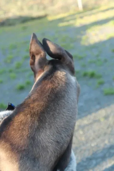 10912189 10152460209385194 1946289369 o