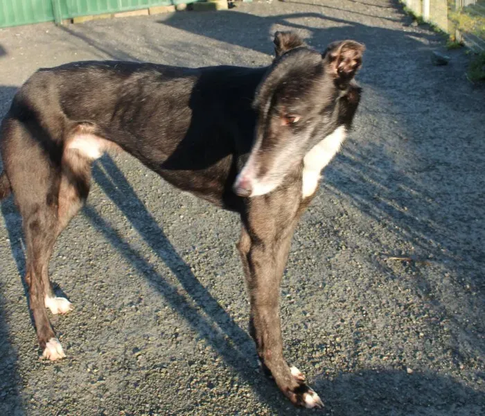 10912201 10152460204320194 818766799 o