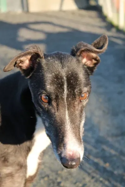 10912660 10152460204125194 1163667328 o