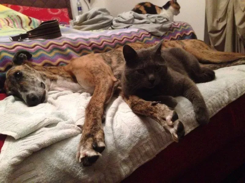 10915199 757591924324665 3124191232861830400 n