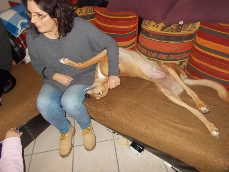 10916335 10202409489238792 468047823351334232 o