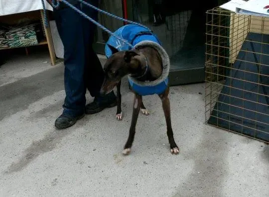 10917648 10204803739071129 621825213 n