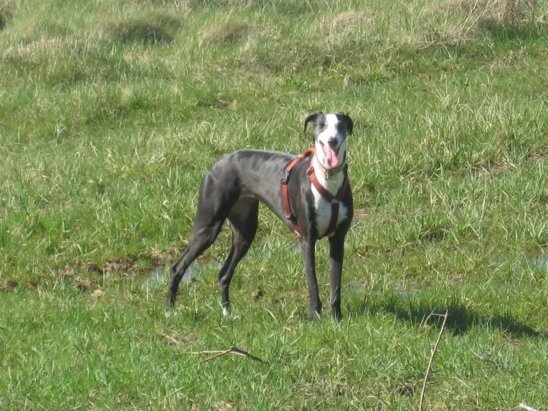 10917792 10205370632282770 227251599949072702 o