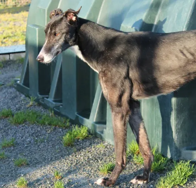 10918511 10152460213190194 2117816532 o