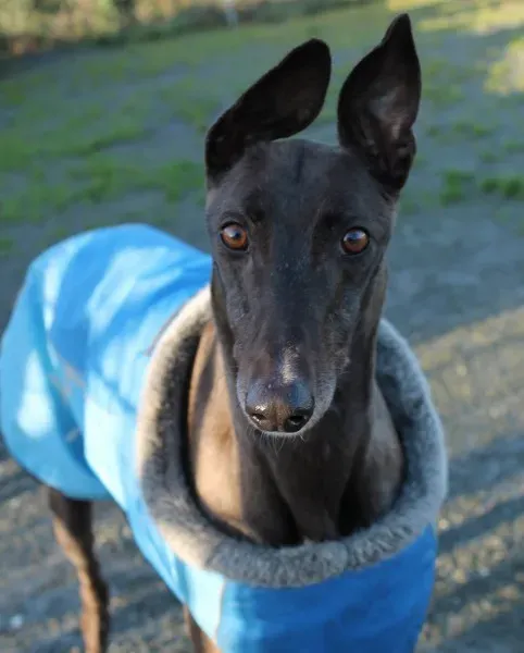 10918734 10152460209485194 131177318 o