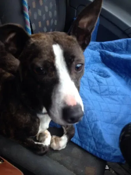 10921862 10152458885125194 692794501 n