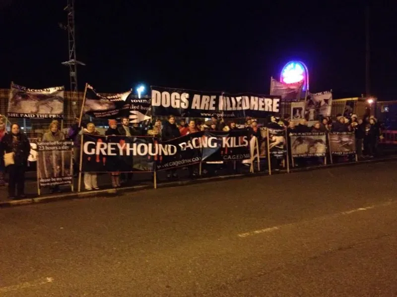 10922555 904554839589329 787135508376874025 n