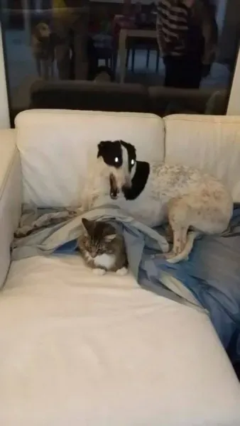 10922632 757590487658142 3037548043567318340 n