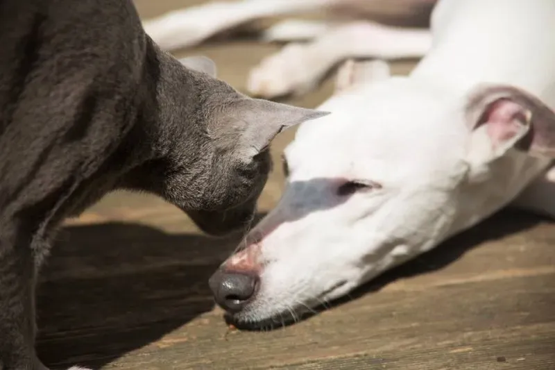 10922693 766744023409455 8148213728598382702 n