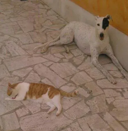 10922716 766743133409544 880925119033250921 n