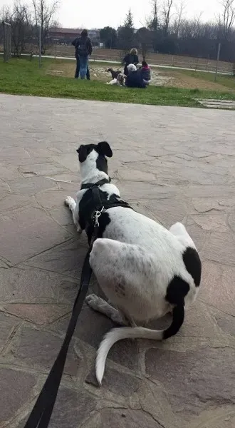 10923454 10205192078273588 9136857253207421619 n