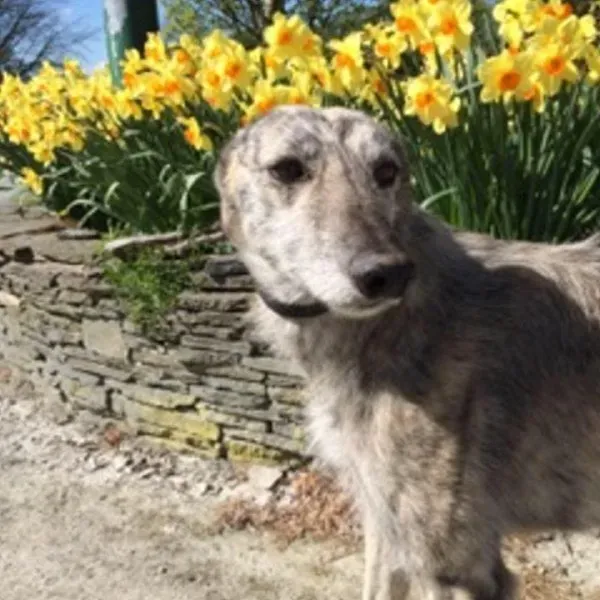 10923828 814751311942059 2833883743685545696 n