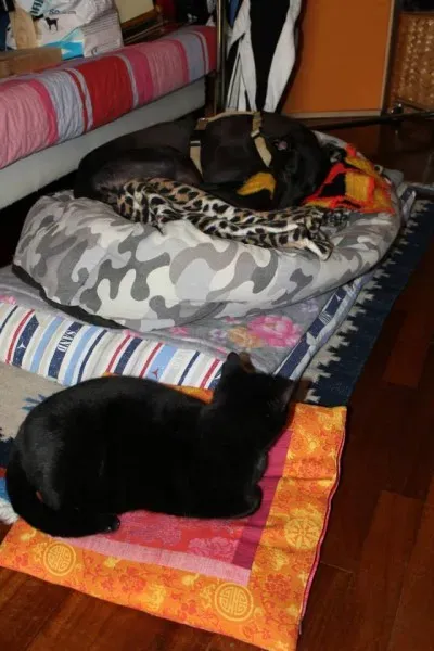 10924820 766739153409942 8792572143642974355 n