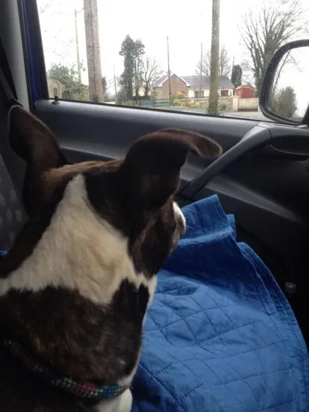 10928048 10152458889750194 841082529 n