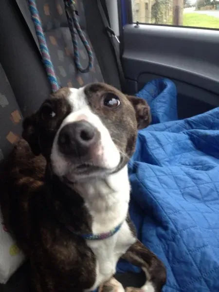 10928671 10152458885895194 2104188507 n