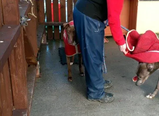 10928754 10204803665229283 130182759 n