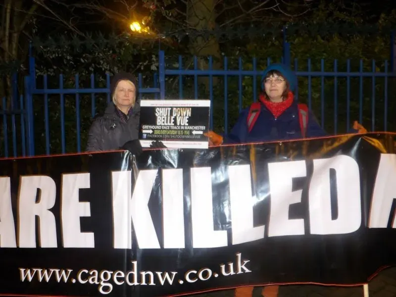 10931018 904662786245201 7737645559678769261 n